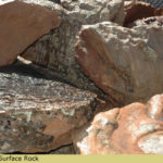 Utah Surface Rock