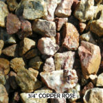 Copper Rose