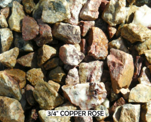 Copper Rose