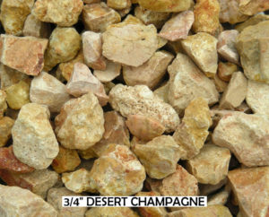 Desert Champagne