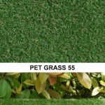 Pet Grass 55