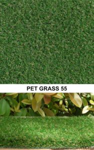 Pet Grass 55