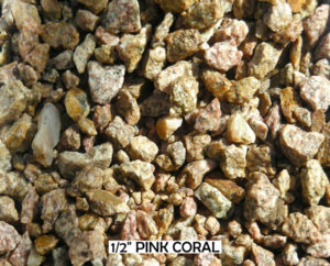 Pink Coral