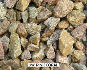 Pink Coral