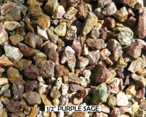 Purple Sage