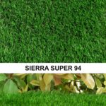 Sierra Super 94