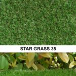 Star Grass 35