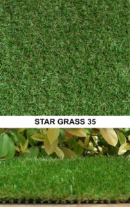 Star Grass 35
